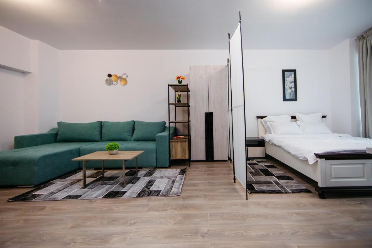 L&V Family Studio Apartment Sinaia Exterior photo