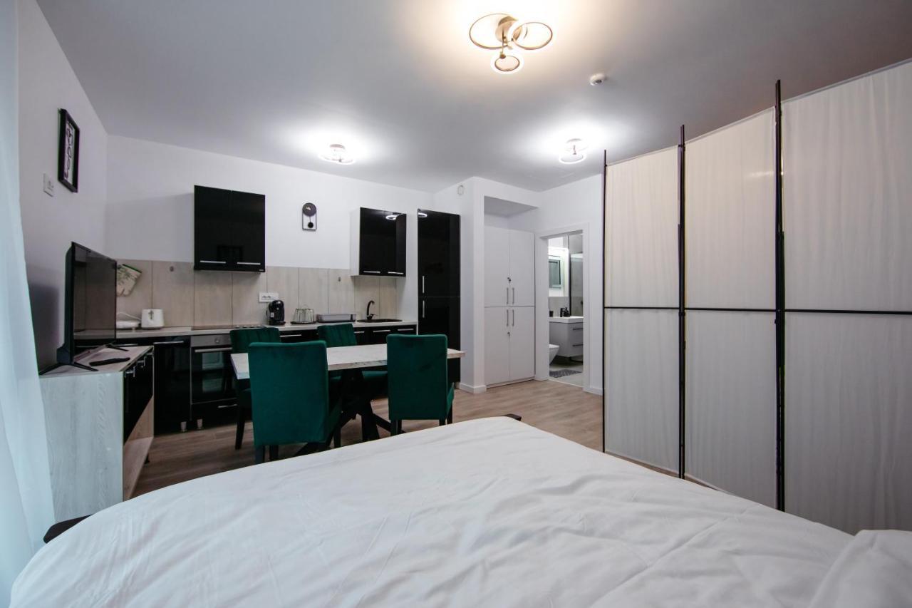 L&V Family Studio Apartment Sinaia Exterior photo