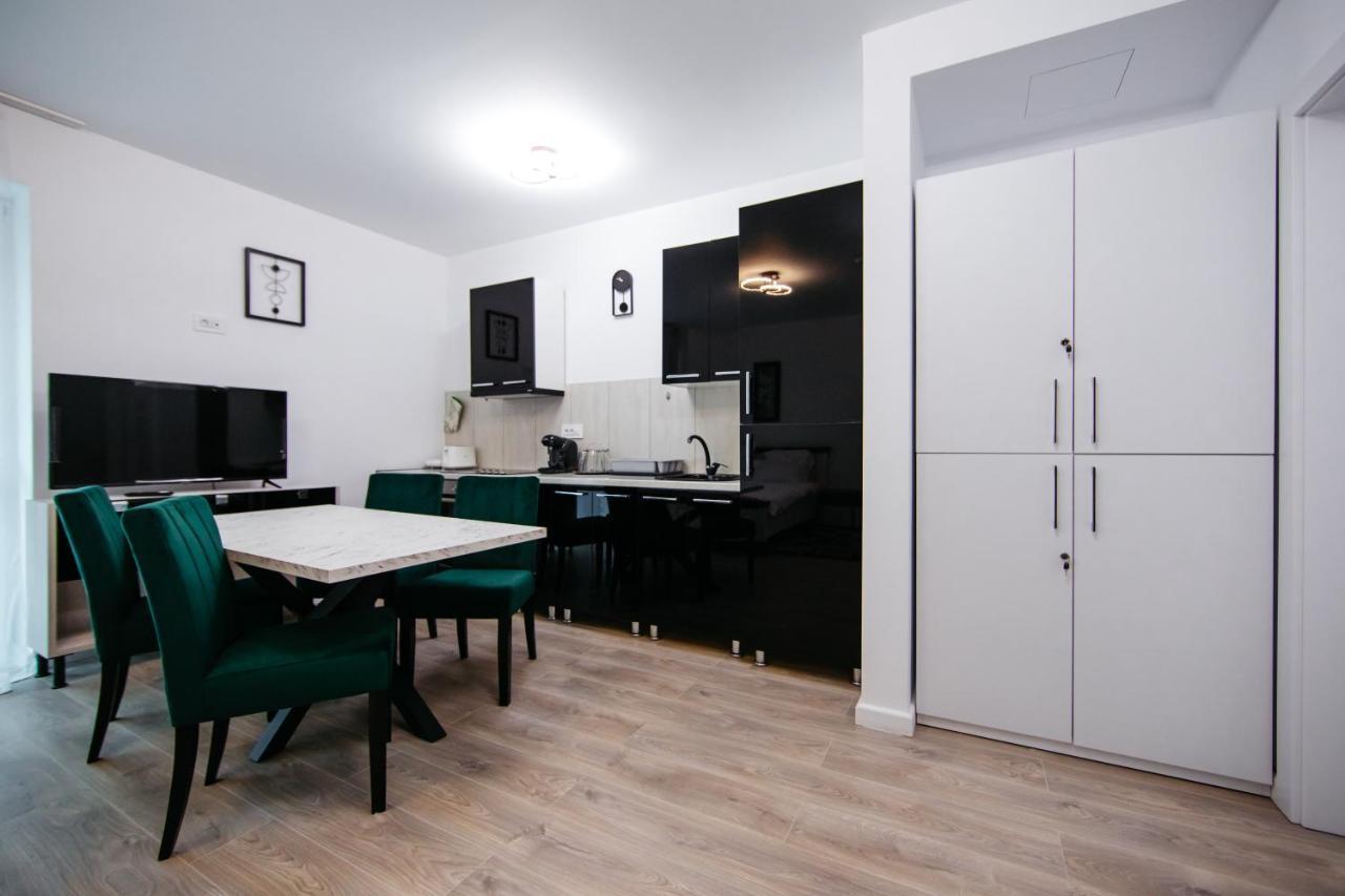 L&V Family Studio Apartment Sinaia Exterior photo